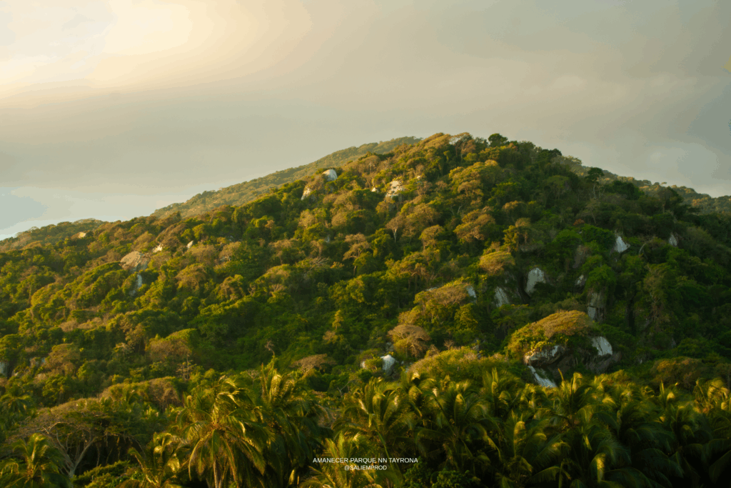 AMANECER-TAYRONA---SALIEMPROD-003