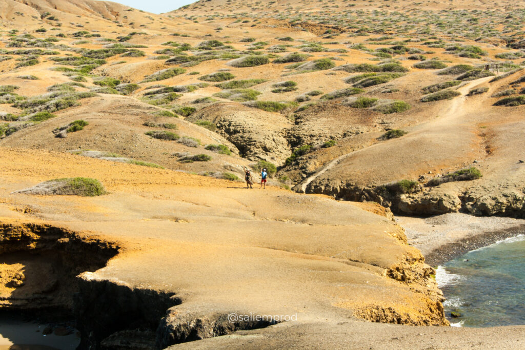 LAROOTA-CABO----SALIEMPROD-001
