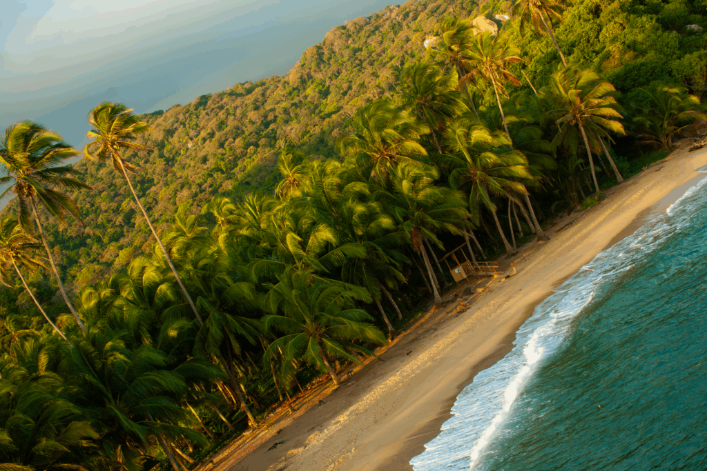 TAYRONA-SALIEMPROD-0009
