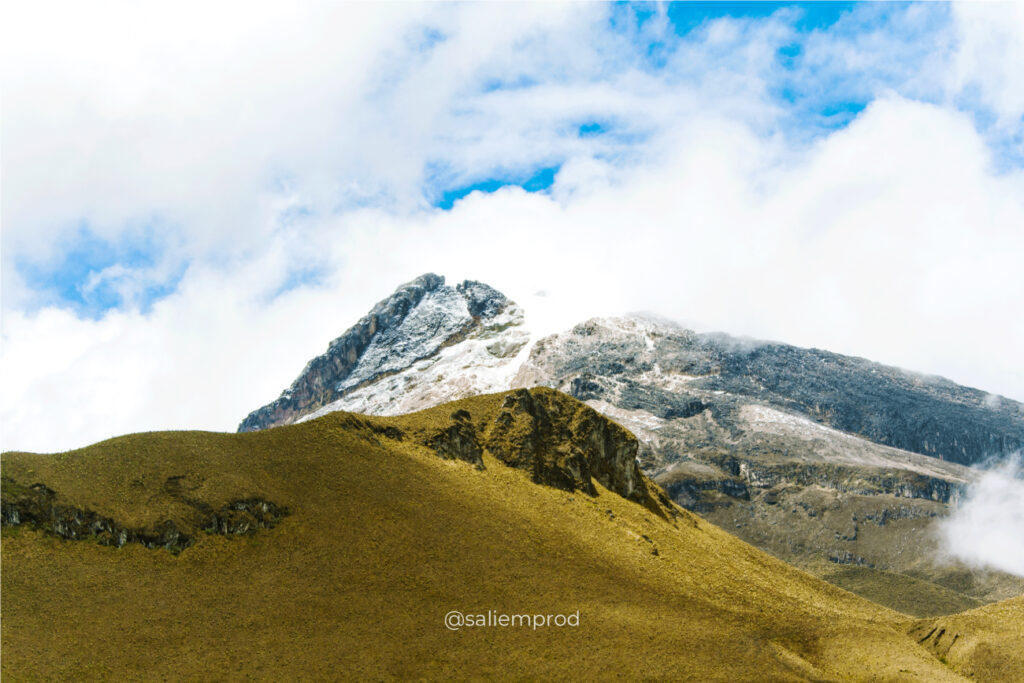 NEVADOS-PNNN-LAROOTACOL----SALIEMPROD-001